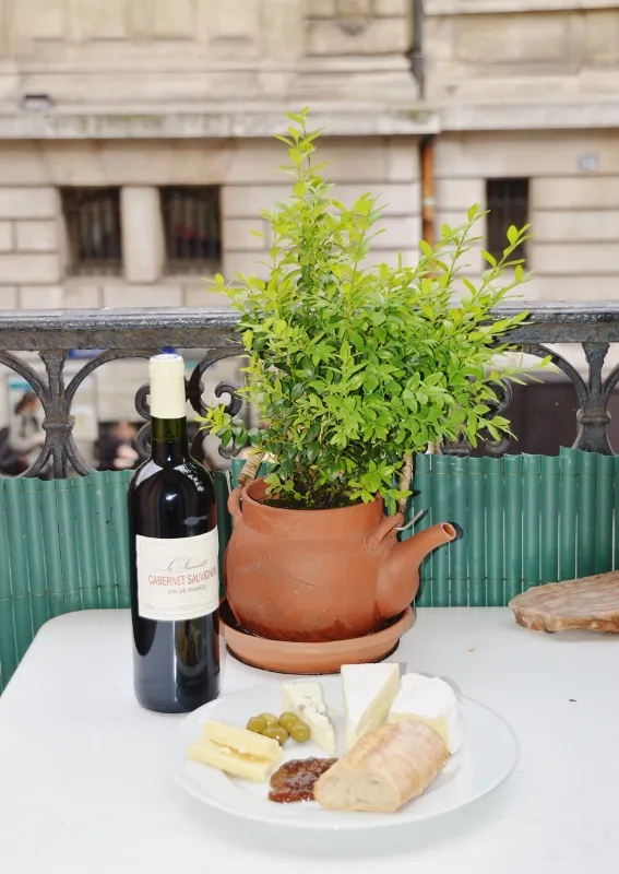 Breakfast on our Paris balcony with croissants and coffee